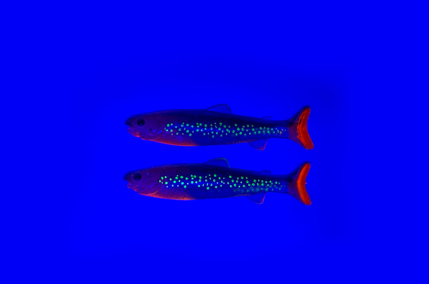 PulseTail Trout - Char 15cm (2Stk/Pkg)