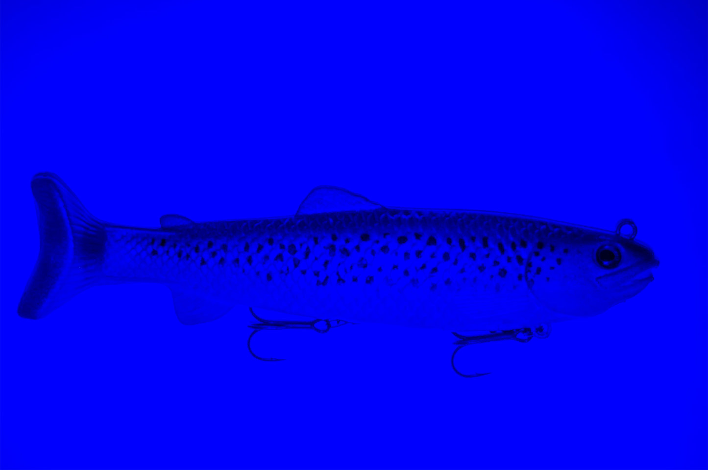 PulseTail Trout - Lake Trout 19cm