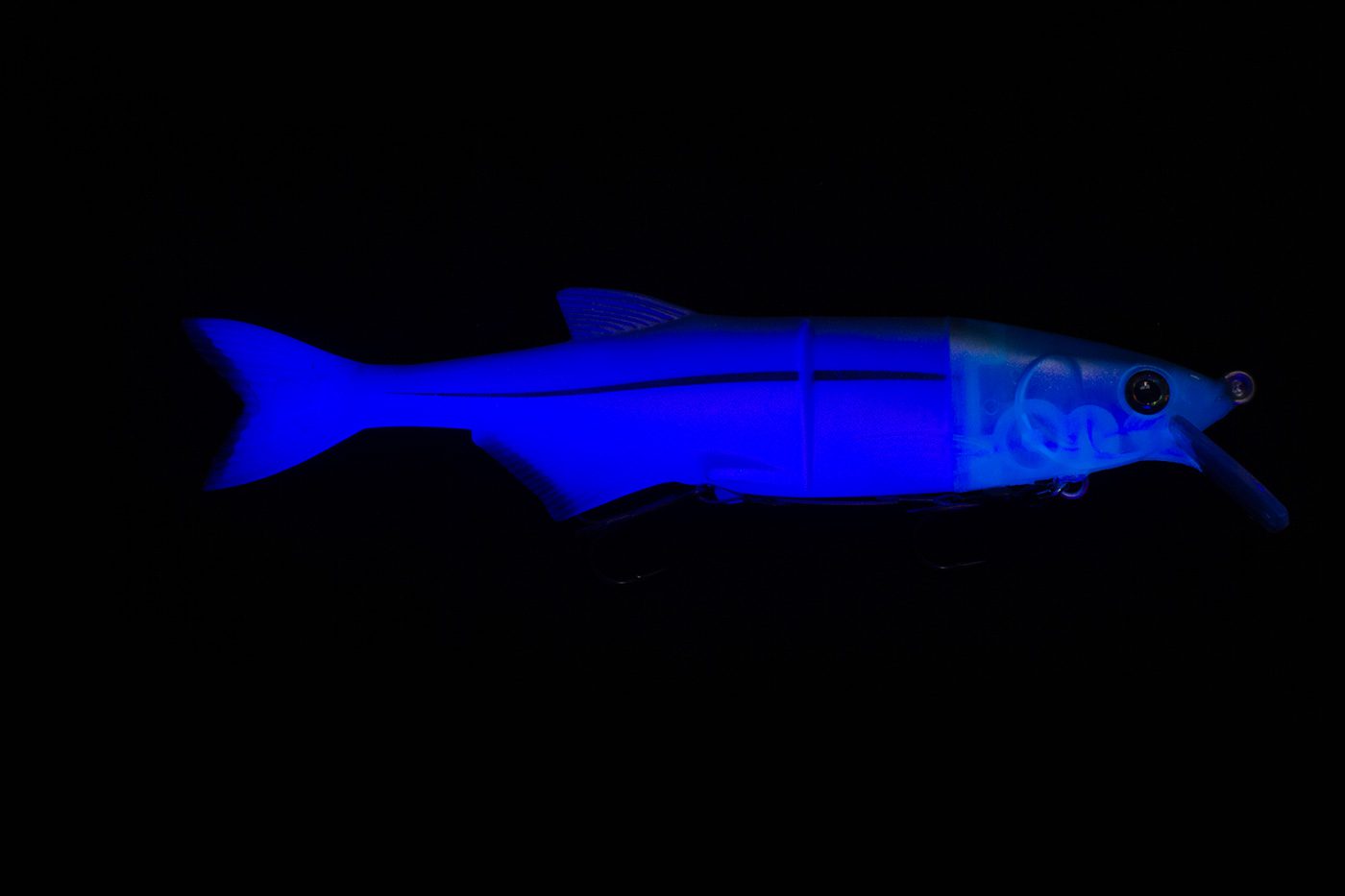 mrsbm_shiny_whitefish_uv