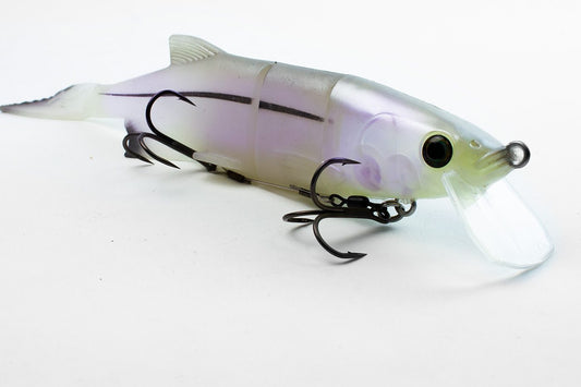 mrsbm_shiny_whitfish_front